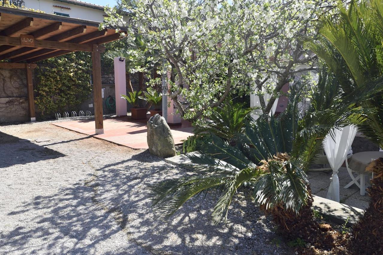 Villa Fiore Apartments 포르토페라이오 외부 사진