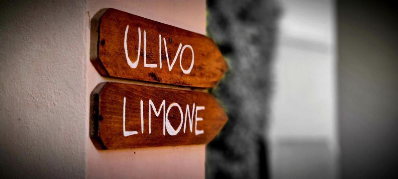 Villa Fiore Apartments 포르토페라이오 외부 사진